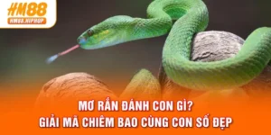 Mơ Rắn Đánh Con Gì? Giải Mã Chiêm Bao Cùng Con Số Đẹp